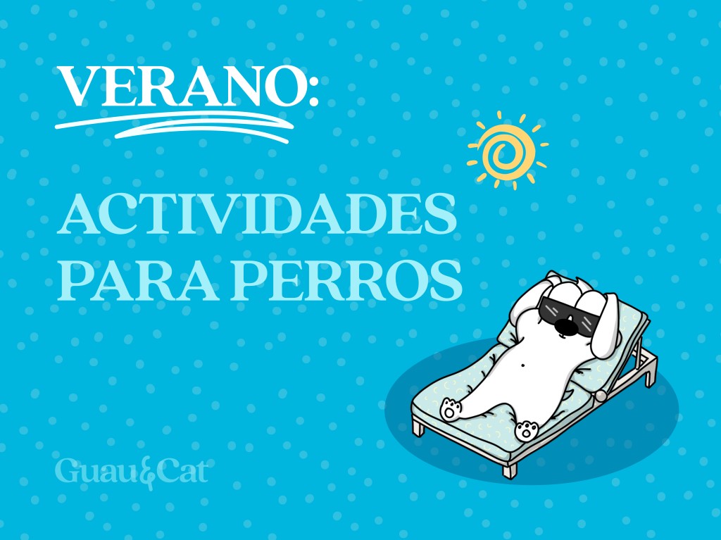 Actividades de verano para perros: ideas y consejos