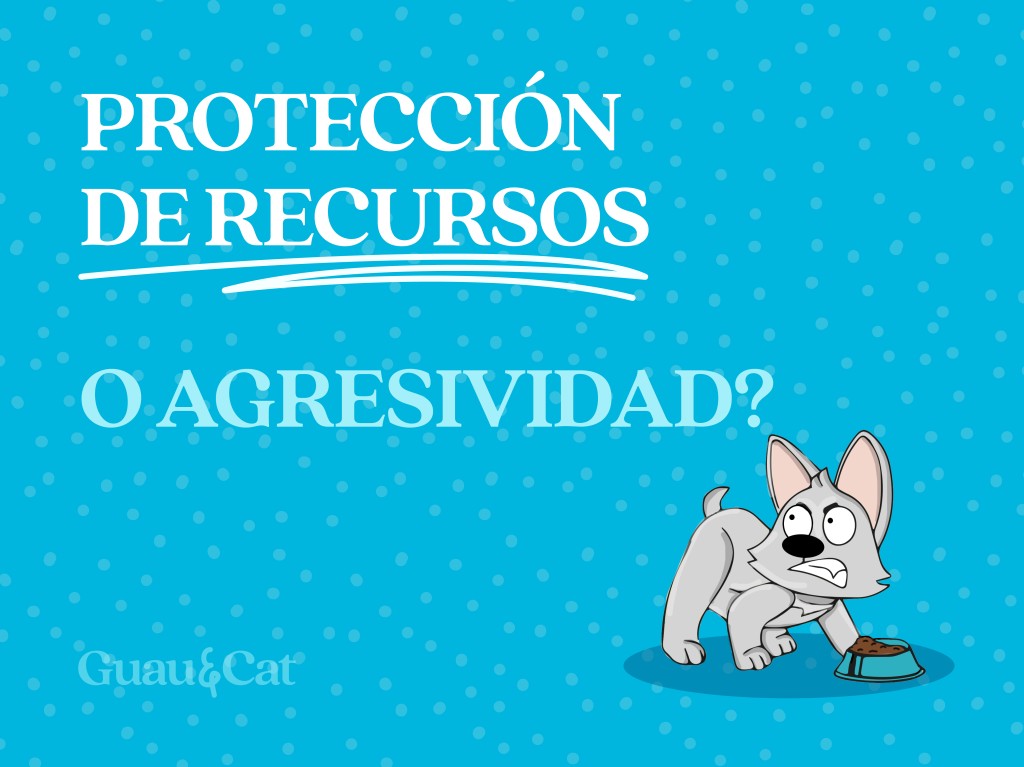 Protección de recursos o agresividad por los snacks  o comida 