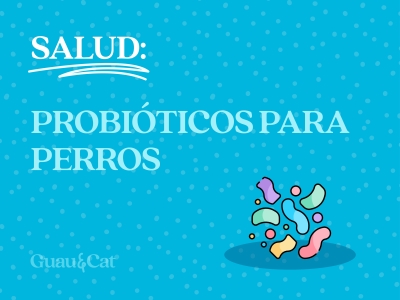 Probióticos para perros