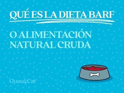 Dieta BARF: qué es, beneficios, riesgos y cómo empezar correctamente