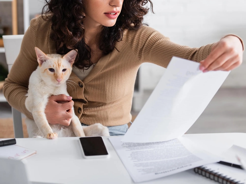 Nueva Ley de Bienestar Animal 2023: 15 Claves para Entender sus Cambios