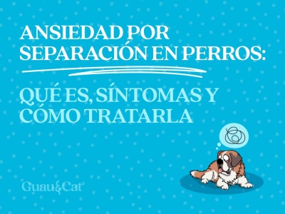 Ansiedad por separación en perros: qué es y por qué ocurre