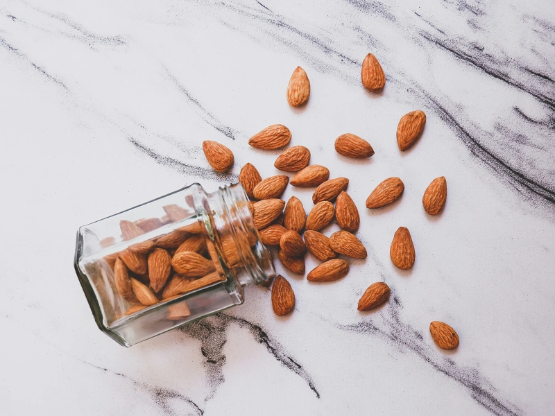 ¿Los perros pueden comer almendras?