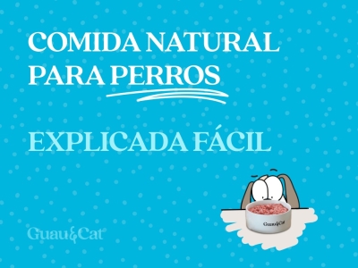 Qué es la comida natural para perros