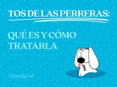 Tos de las perreras