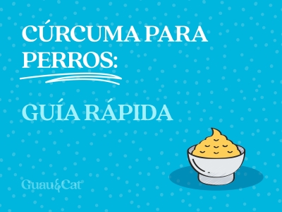 ¿Los perros pueden comer cúrcuma?