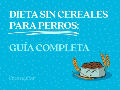 Dieta sin cereales para perro