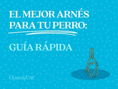 Cómo elegir el mejor arnés para tu perro