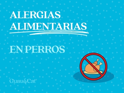 Alergias alimentarias perro