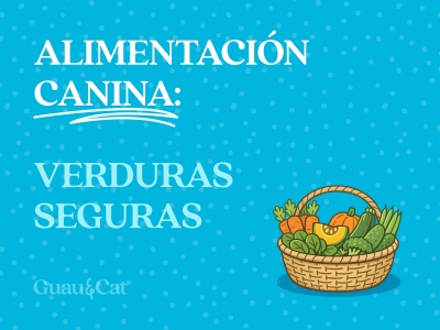 Qué verduras pueden comer los perros 