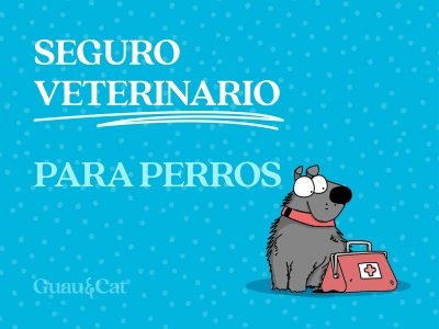 Seguro veterinario para perros: cómo elegir el mejor 