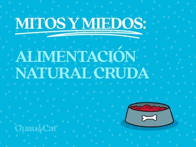 Mitos y miedos sobre la alimentación natural cruda (BARF) para perros