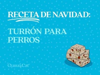 Receta de Navidad: Turrón para perros
