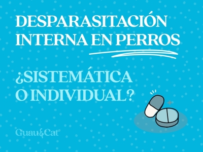 Desparasitación interna en perros: ¿es necesaria siempre o debe individualizarse