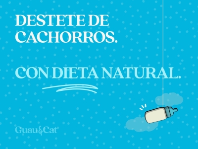 Destete de cachorros con dieta natural: guía para una alimentación saludable