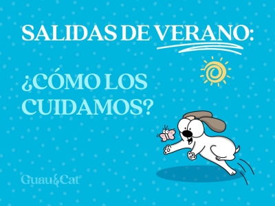 ¡Salidas en verano! ¿Cómo los cuidamos?