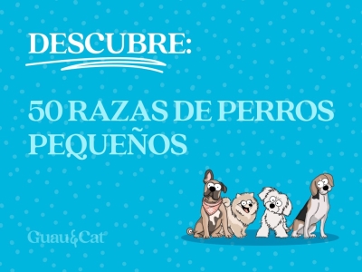 Razas de perros pequeños