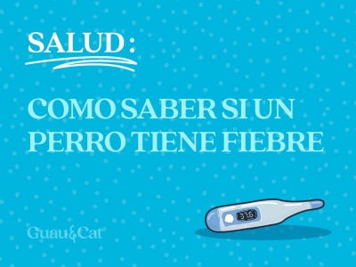 ¿Cómo saber si un perro tiene fiebre?