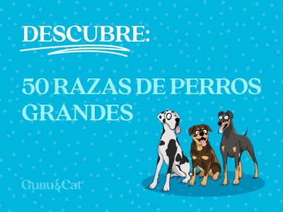 Razas de perros grandes