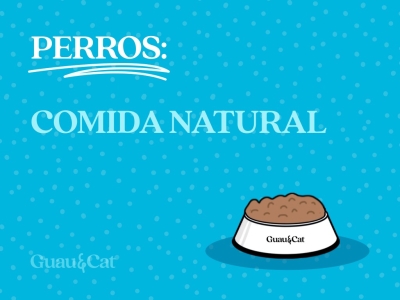 Comida natural para perros