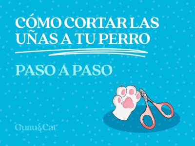 Cómo cortar las uñas a tu perro