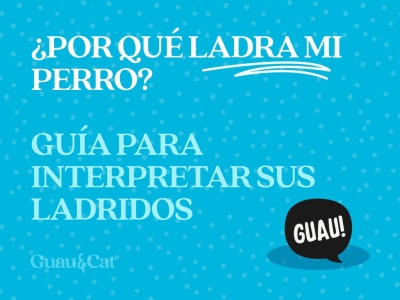 Guía de ladridos de perro