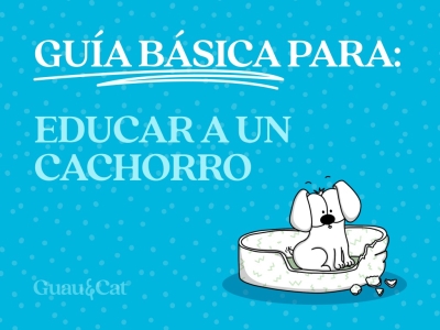 Cómo educar a un cachorro