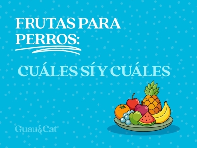 Qué frutas pueden comer los perros 