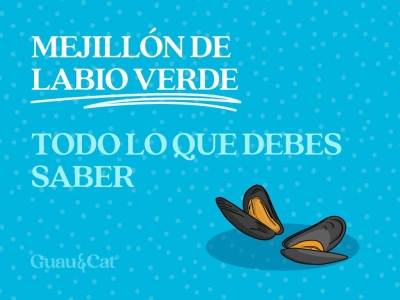 Mejillón de labio verde en perros