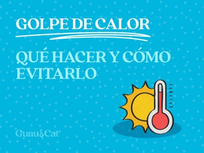 Golpe de calor en perros