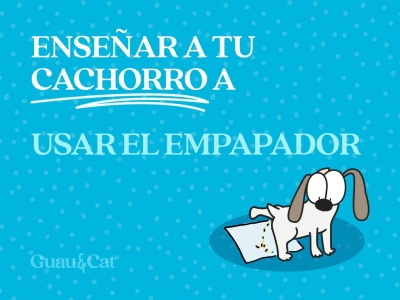Cómo enseñar a un cachorro a hacer sus necesidades en el empapador