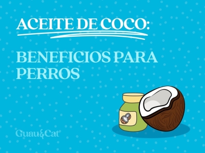 Aceite de coco para perros