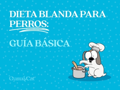 Dieta blanda para perros