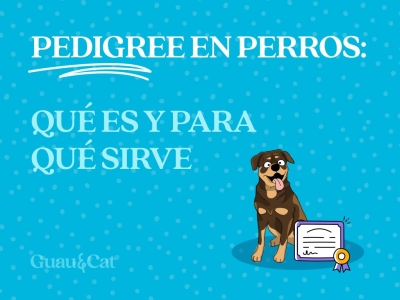 Pedigree en perros