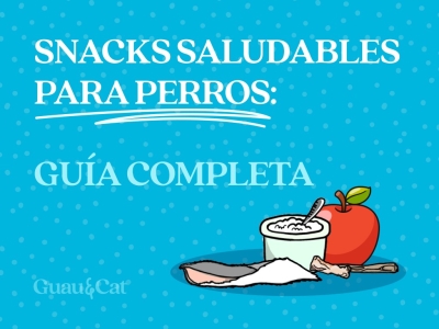 Snacks saludables para perro
