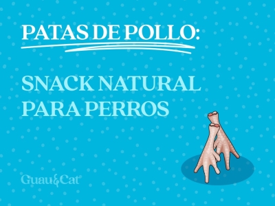 Patas de pollo para perros