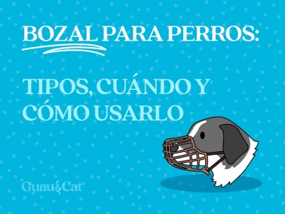 Bozal para perros 