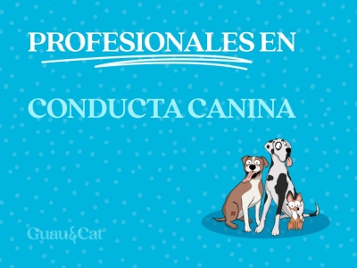 ¿A quién acudir si mi perro tiene problemas de comportamiento?
