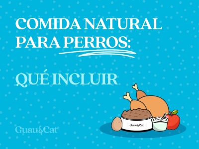 Comida natural para perros: Qué incluir en una dieta natural saludable