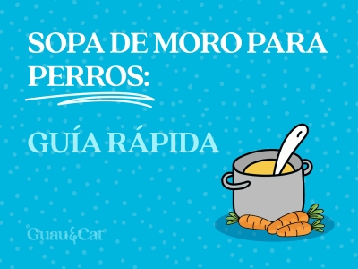 Sopa de moro para perros: receta y cómo cortar la diarrea