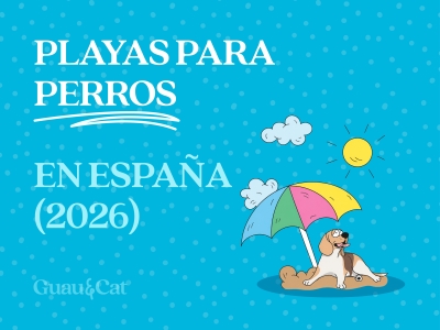 Playas para perros en España: guía de playas que admiten perros (2026)