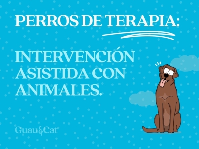 Perros de terapia e Intervención Asistida con Animales (IAA)