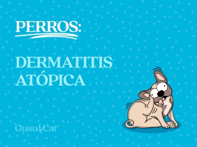 Dermatitis atópica en perros: cuida su piel para que esté sana