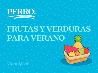 Frutas y verduras para dar de comer en verano a tu perro