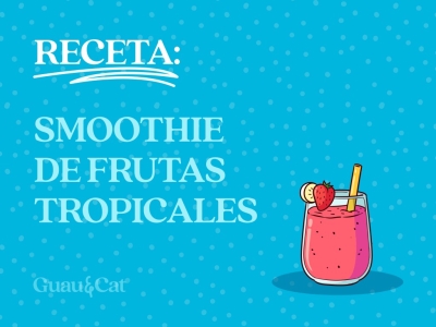 Receta: Smoothie de Frutas tropicales para perros 