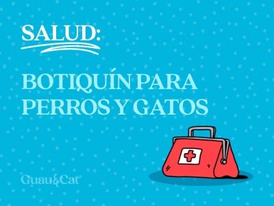 Botiquín esencial para perros y gatos 