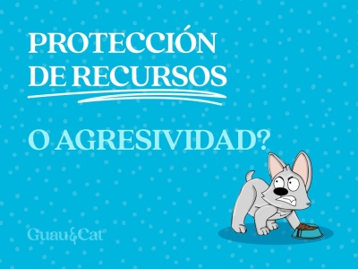 Protección de recursos o agresividad por los snacks  o comida 