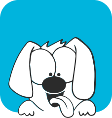 Perro