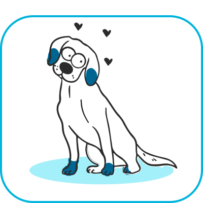 Perros medianos