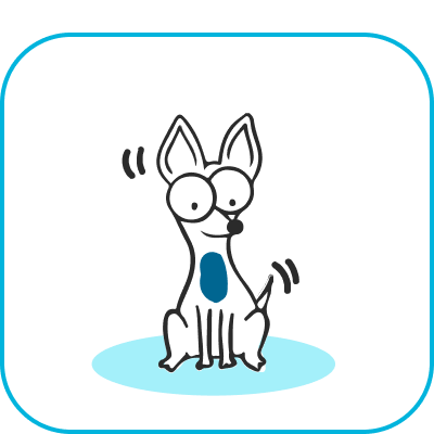 Perros pequeños